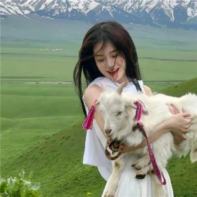 迷你特工队之拯救恐龙王